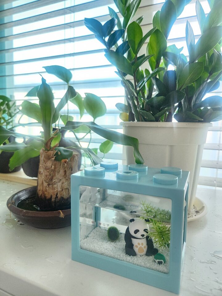 short form carousel card thumbnail