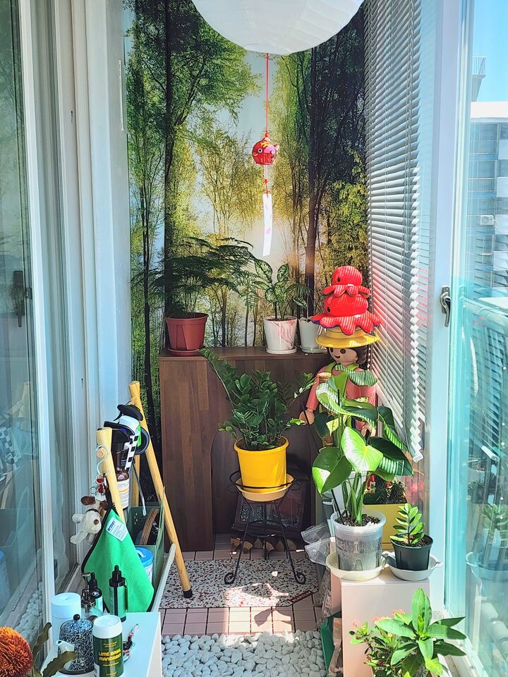 short form carousel card thumbnail