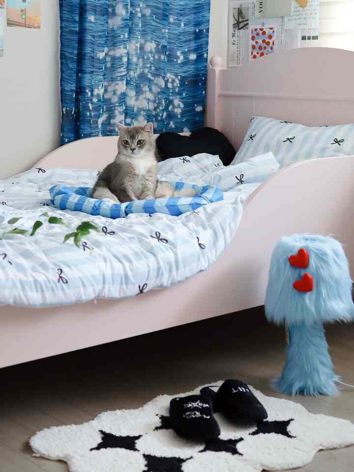 Myo-myo terpaksa bangun karena keluarganya pergi bekerja 🥰
Ekspresinya setelah bangun tidur sangat imut ㅎㅎ
Kurasa begitu juga kucing yang tidak mau bangun di hari Senin 🙈

Semoga minggu ini menyenangkan dan penuh energi!

#KamarAnak #아이방인테리어 #아이방꾸미기 #컬러인테리어
#InteriorBiru #침실꾸미기 #이불세트 #조명 #3평
#DekorasiKamar #작은방인테리어 #작은방꾸미기 #작은방 #맞팔
#RumahKitaHariIni #콘수프기록 #원룸인테리어 #포인트러그
#Keset Kaki #침구세트 #패브릭포스터 #원룸꾸미기 #모던하우스
#PencahayaanInterior #파스텔인테리어

