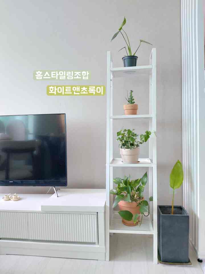 #홈스타일링조합
#メイド 
#コンスープ 
#ホワイトインテリア 
#フランテリア 
#グオクインテリア 
#リビング
#イケア
#イケア
#照明
#照明
#甲ゾネ
#自宅のインテリア 
#空間分離 
#イケア 
#イケアスタイリング 


我が家のホームスタイリング組合は 
すっきりとした白いインテリア家具とさわやかな緑と
照明をいくつか置いて完成してみました。

緑が家にいるときは、寂しいリビングルームに 
生気があるように見えてもいいと思います^^
