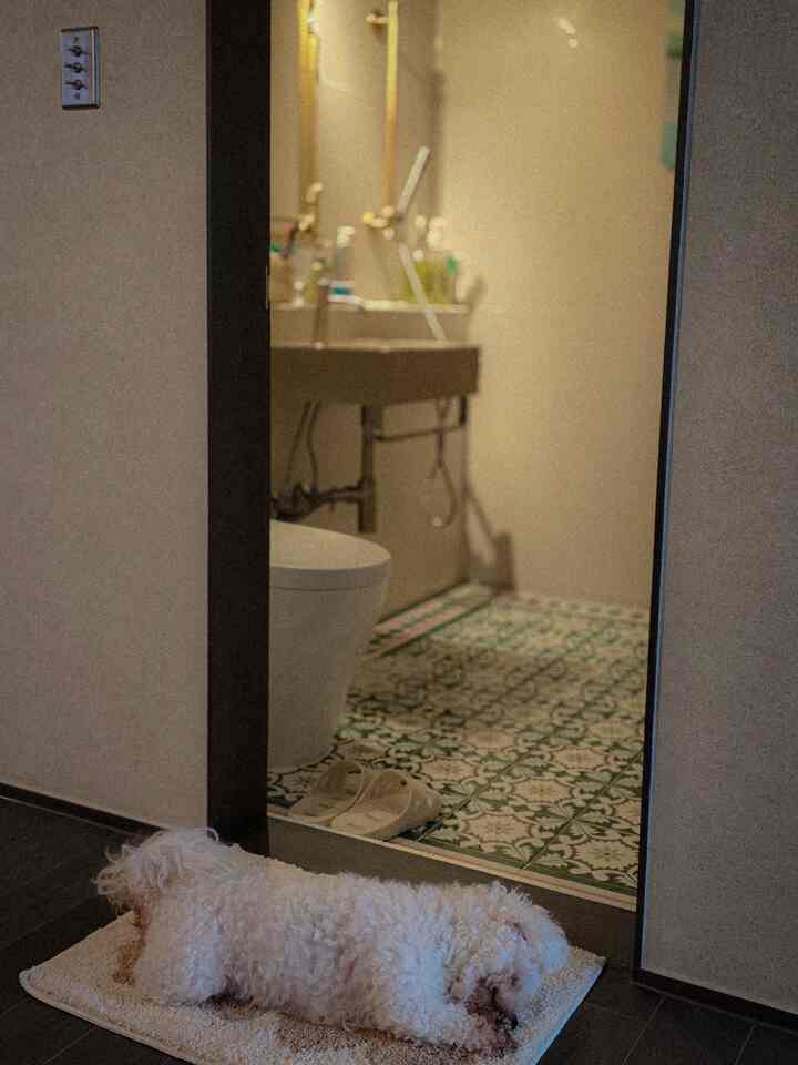 ナチュラルトーンのバスルーム空間で、バスマットの上に寝そべる犬がいる落ち着いた雰囲気のインテリア