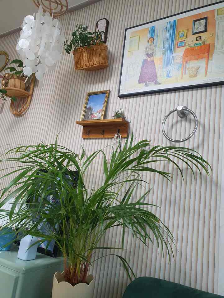 #모던대내추럴 #내추럴  #스크랩반사 #플랜테리어 #포스터 

モダンよりもナチュラルが近いのではないかと思います。
好きなものが追加され、変わり続ける進行型だと思います。
植物ポスターラタン灯など