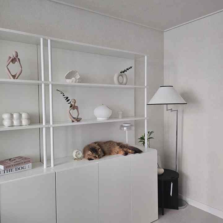 スピアノのジャンスタンドは妹が誕生日だと送ってくれた製品なのにシルバーボディがあまり魅力的な製品ですよ🩶

闇がやってくると、ほのかな照明に依存し、過ごすことは私になくてはならない必須テムです。 🤭

小さなムードなどに比べて存在感が大きく、照明1つだけつけても空間が明るくなります🤍

家を改造する際にバスルームだけを除いてしたが、タイルの割れと様々な問題があり、全体を撤去して改造を進めるか悩んでいるのに生きながら浴室を改造された方はいらっしゃいますか？ 🥺

浴槽もなくて設置したいのですが、ほこりを余裕があるほど満足度が高いのか気になります！

＃書斎＃書斎インテリア＃書斎デコレーション＃サリムサル6 #ウッドキー





