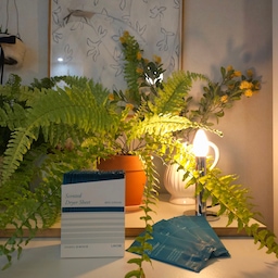 요즘 저희 집 향을 담당하는 라브아의 퍼퓸 건조기 시트 🌿
은은하게 오래 지속되는 숲향 덕분에 하루종일 기분이 좋아요 💚
향에 예민한 남편도 이 제품 향이 너무 좋다며 좋아하더라고요 !
더운 여름철 옷을 자주 빨다보니 옷이 손상되진 않을까 걱정했는데 라브아 건조기시트는 섬유 보호 & 유연기능을 가진 제품이라 옷을 부드럽게 해주며 손상없이 관리할 수 있답니다 🫶
오랜만에 출근해서 우울했는데 옷에서 나는 은은한 숲향 덕분에 힐링되네요 🌿
#라브아 #건조기시트 #살림살이템 #세탁필수템 #향기템 #건조기시트 #드라이시트 #향기시트 #사이프러스 #니치향 #향기템 #선반 #오브제 #소품 #화병 #무드등 #화이트수납장 #수납장 #시스템선반 #숲향 #패브릭 #지류수납장 #세탁실 #세탁실필수템 #워시타워 #소통 #맞팔 
