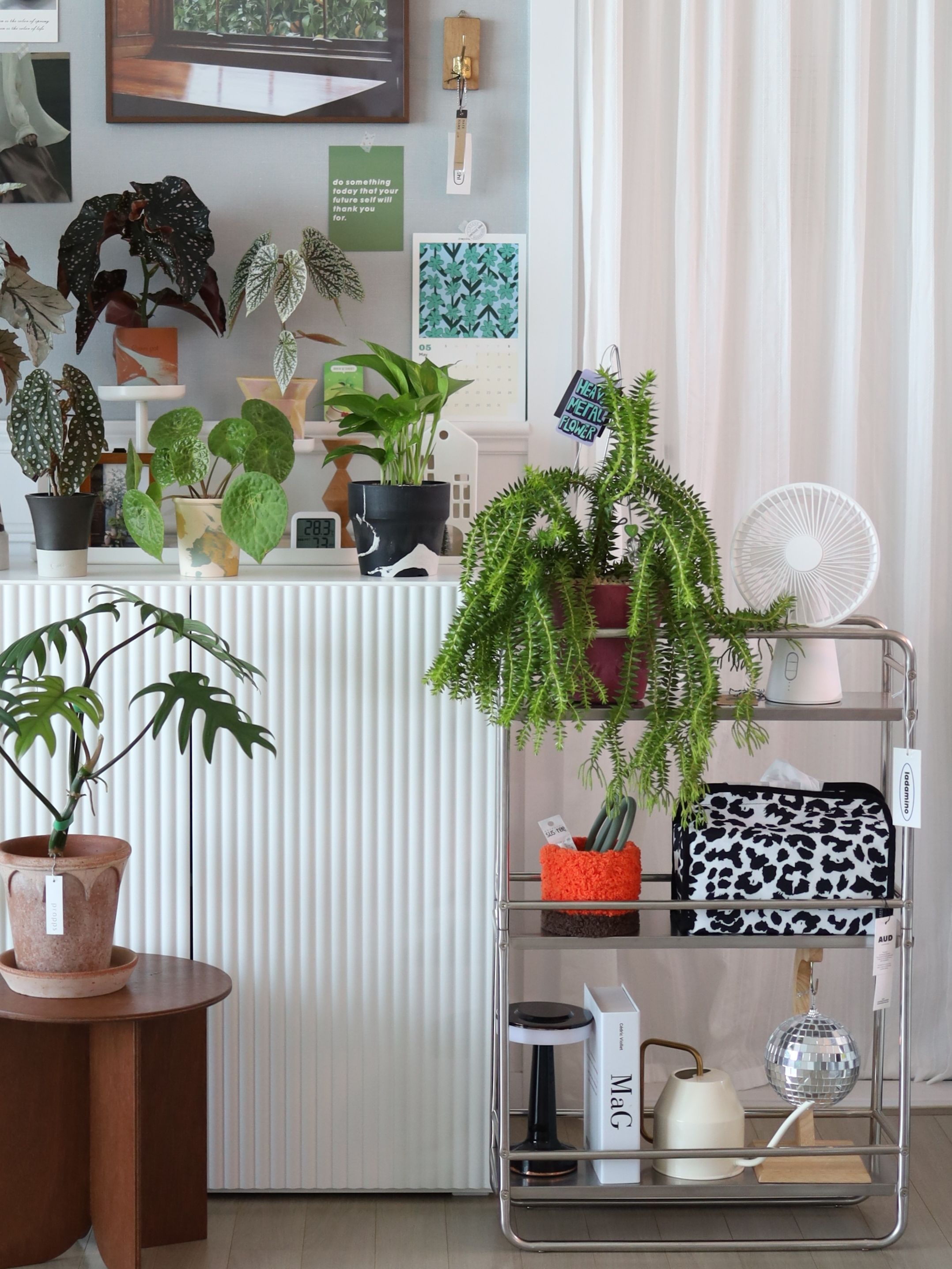 Marbled Plastic Flowerpot user photo