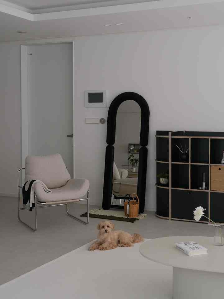 白と黒のトーンのリビング、モダンなアームチェアと大きな鏡、そして犬がくつろぐナチュラルな雰囲気の空間