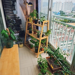 #오늘의우리집 #오늘의가든 
쥐똥고추 익었습니다~❤️
고추가 열리고 언제 익는건가 세월만 한참 지나가고있었는데
드디어 두 개지만 빨갛게 잘 익은 녀석들이 생겼어요!!😆
남은 고추들도 어서 익어서 수확의 기쁨을 누리고 싶네요
그리고 2차 고추꽃들도 많이 피고 있어서 다음 턴도 수확할 수 있을거 같아서 기쁩니다🩷
#베란다정원 #베란다텃밭 #베란다인테리어 #데크타일 #패브릭포스터 #가리개커튼 #나무벤치 #벤치의자 #벤치 #원목벤치 #텃밭화분  #콘수프기록 