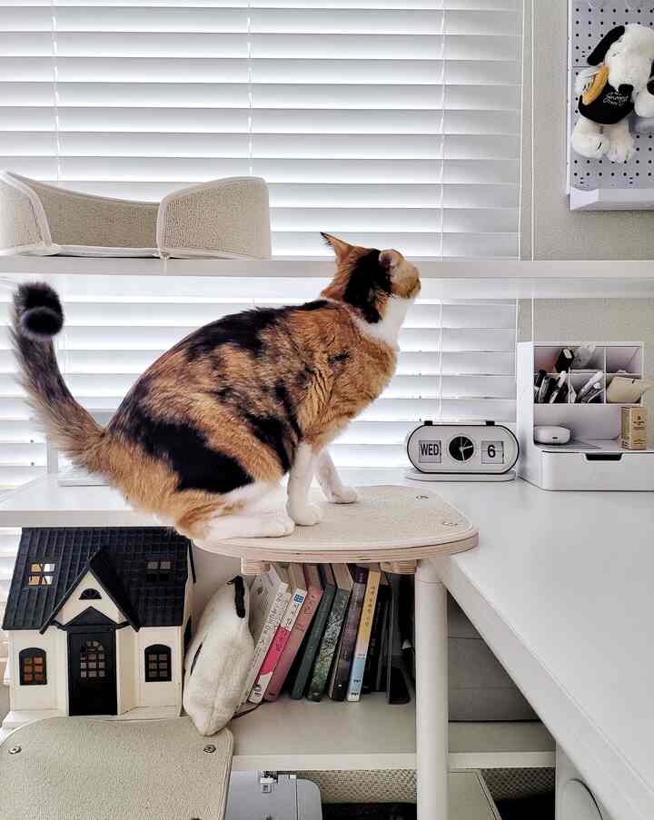 White and natural-toned desk and cat tower in a clean, cozy indoor space featuring a cat