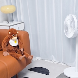 주말이 되니 역시나 집에서 제일 바쁜 거 같아요!
뭘 많이 하지 못했는데 벌써 7시가 되가는 거 있죠? 
바삐 움직이는데 막상 많은 걸 하지는 못해서 아쉬워요😂
날이 더운지 선풍기 풀파워로 틀고있는 
오랑이와 함께 토요일도 지나갑니다아..‎(*˙︶˙*)و
오친님들 맛저하세요🤍
#집에서제일바빠 #콘수프기록 _ [5]
#주말일상 #주말순삭 #토요일 #주말기록 #거실인테리어 #작은집인테리어 #작은거실 #작은거실인테리어 #소파존 #거실러그 #러그추천 #오랑이 #오랑우탄인형 #맞팔 #맞팔환영 #소통 #소통환영 