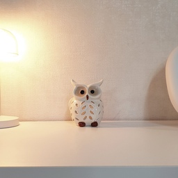 #내돈내산 #콘수프기록  5
♥️🦉부엉이 캔들 홀더에요
풍수템을 좋아하는데 부엉이 소품도 풍수적으로 의미가 좋더라구요
검색한 내용을 적어보면
🏷지혜와 통찰력: 부엉이는 어둠 속에서도 멀리 내다보는 능력으로 미래 예측과 올바른 판단, 학문적 성공의 상징.
🏷재물운과 번영:부엉이의 큰 눈이 동전을 연상시키며, 집안에 재물, 번영, 성공의 기운을 불러온다고 함.
🏷행운과 기회: 조용하지만 날카로운 관찰력으로 인생의 중요한 행운과 기회를 부르는 동물로 인식됨.
🏷악운 차단과 보호: 사방을 살피는 부엉이 특성 때문에 집안의 나쁜 기운을 막아주는 수호자 의미가 큼.
🏷풍수인테리어 효과:집의 균형, 화목, 성공, 안정, 긍정적인 에너지를 불러들인다고 함.
그래서 현관이나 거실에 두면 좋다고 하네요 
귀여운 부엉이 캔들 홀더인데 넘 귀엽기도 하고 의미도 좋아서 현관쪽 수납장 위에 두었어요 
귀여워서 넘 맘에 들어요😍🦉
#내돈내산추천템 #내돈내산템 #부엉이 #부엉이소품 #풍수인테리어 #풍수 #풍수지리 #풍수지리인테리어 #거실소품 #수납장 #슬라이딩장 #슬라이딩수납장 #선반인테리어 #선반꾸미기 #선반스타일링 #30평대인테리어 #30평대아파트인테리어 #맞팔 #맞팔환영 #맞팔해요 #맞팔선팔 
