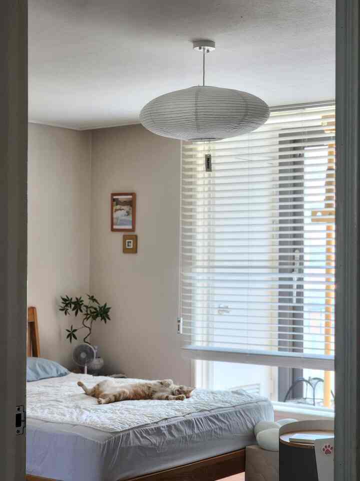 ＃五感レビュープログラムを通じて製品を提供され、直接使用してスタイリングした後期です。

寝室にサブ照明だけを置くのが好きでした。 
最近は大丈夫です。

寝室に浮かぶ静けさ🤍
▪️最近大勢ヌノーズペーパーランプ

感覚的なお兄さんフィードでよく見られた＃ペーパーランプ
見るたびに目が行き、カートに入れた #東洋美いっぱい
その韓紙照明が私の家にプレゼントのように飛んできました:)

🤍インストール前
全体的にウッドホワイトが主を成す私たちの家で
最も忠実にコンセプトを維持するのが寝室です。

以前スタイリングしていたラタン照明は、ある瞬間視覚的に
ヘビーに見え、そろそろ疲れていた車にハンジライトが
代わりにピッタリになりたくて寝室メインなどで設置することになりました。

構成はハンジガド、電球、その他の付属品などいくつかで断出しています。
付属のマニュアルを見て、
設置可能なので心配は入れておいてください！入れておきましょう！😉
 
材質は限られていますが、結構嬉しい方なので高級感を受けました。ただ、紙なので、ワイヤーで形をつかむときは、慎重に接近しなければならないという点！
 私はやさしく見て、少し引き裂かれました…

直径60cm、電球色設置しましたので参考にしてください

🤍インストール後 
誰かがそうだったんです インテリアの完成は照明だと..!
はい、そうです！ ㅎㅎ照明を変えただけですが、静かで居心地の良い寝室の気分に急な気分が幸せになりました🥰

韓紙を通って漏れ出る光はなぜこんなにもほのかで暖かいのか！
何よりホワイトウッドブラインドに原木家具とも調和的に調和し、照明一つだけ置いてみてもさっぱり存在感あるというべきでしょうか？

なぜそのような友達がいるでしょう。柔らかくてよさそうに見えますが、中は硬くてエレガントな外油内鋼型！

丸い球形ではなく、飛行皿(?!)に似た楕円形シェイプも魅力的な要素で迫っ​​てきました。

昼にも大きく、夜にも大きく、長く見れば見るほど、
ヌノーズペーパーランプ。 

いくつかのスタイリングショットを見ると、ブラック＆ホワイト＃無彩色インテリア＃フランテリア、さらには＃鉄テリアや商業空間にも無難に溶け込み、書斎、ダイニングルームなど、すべての生活空間によく合っていました。

もし悩んでいるなら今すぐ遅滞なく告げてください！
（今回は世界のカボチャ！ㅎㅎ）

Ps。小さなスタイリングのヒント 
便宜上、私は電線の長さを短く引いたが、長く伸ばすのが百万倍感覚的に見えました！お勧めします:)

＃ヌノーズ＃ヌノーズ照明＃ヌノーズペーパーランプ＃寝室インテリア＃照明インテリア＃寝室スタイリング＃寝室装飾＃ウッドホワイトインテリア＃ウッドホワイトスタイリング＃ナチュラルインテリア#30台のアパート 