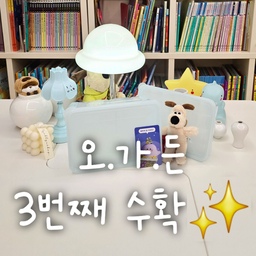 오늘 진짜 바쁜 하루였어요!😫
둘째 콩순이의 외래에 시부모님 병원까지
병원만 두곳을 다녀왔어요
아침7시에 집에서 나가 
오후6시 넘어서 집에 귀가한거있죠?
둘째 콩순이의 좋지 못한 이야기를 듣고 와서
마음이 너무 심란하지만 
그럴수록 뭐든 해야 한다는 생각에
키보드를 놓고 오집을 켜봅니다🥹
오늘의 살림살이는? 오가든 3번째 수확물인
땡스소윤 밀폐용기에요!✨️
한참전에 택배를 받아봤는데 이제서야 글을 남겨보네요
칸칸이 나눌수도 있는게 백이하비꺼 화식 만들기에
딱 좋을듯 하여 너무나도 마음에 쏙 드는거있죠?
오가든 진짜 너무나도 쏠쏠하고 좋은것들이 많아
오지에서의 놓칠수 없는 부분중 하나인듯 해요!
저는 4번째 수확물로 컵을 선택해놨는데
얼른 수확해서 자랑해보고 싶어요!
#살림살이 #콘수프기록집 #밀폐용기 #냉장용기 #냉동용기 #땡스소윤 #항아리 #달항아리 #다이소항아리 #다이소소품 #무드등 #키링 #그로밋 #그로밋인형 #그로밋키링 #캔들 #미니항아리 #모듈테이블 #맞팔 #맞팔소통 #맞팔해요