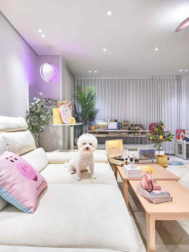 ホワイトトーンのリビング、モジュラーソファと木製コーヒーテーブル、犬がいる居心地の良い温かみのある空間