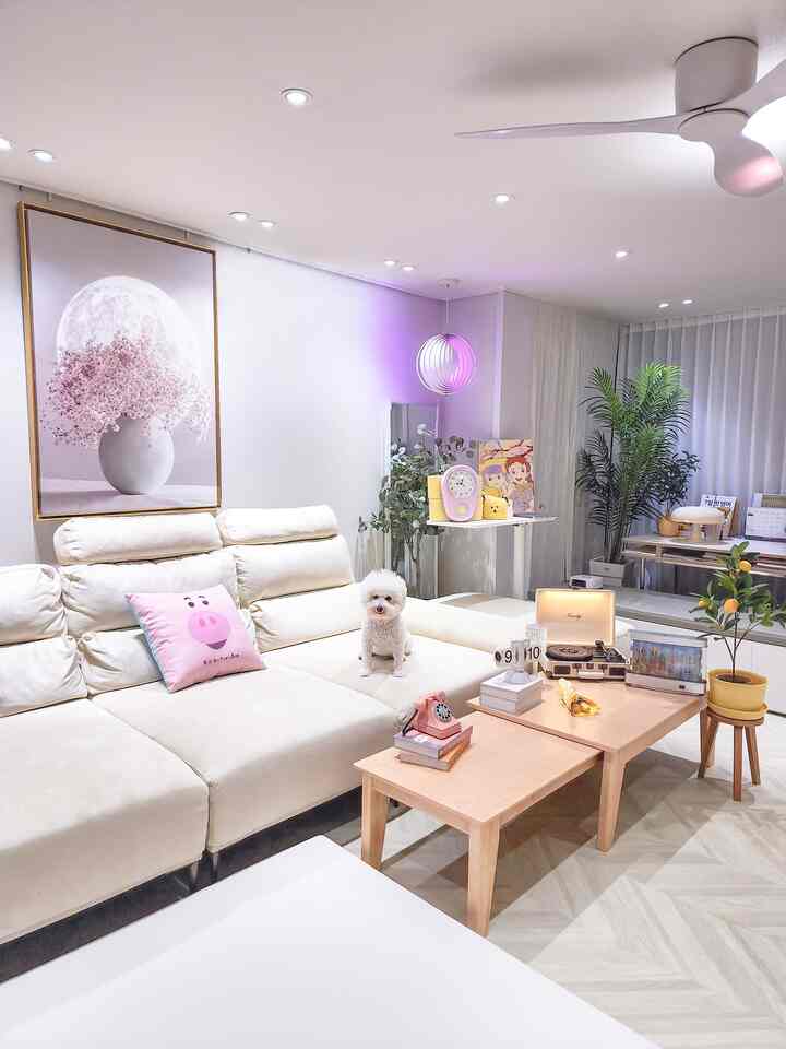 白とナチュラルカラーのワンルームリビング、大きなソファにかわいい犬とレトロな小物が配置された雰囲気のある空間