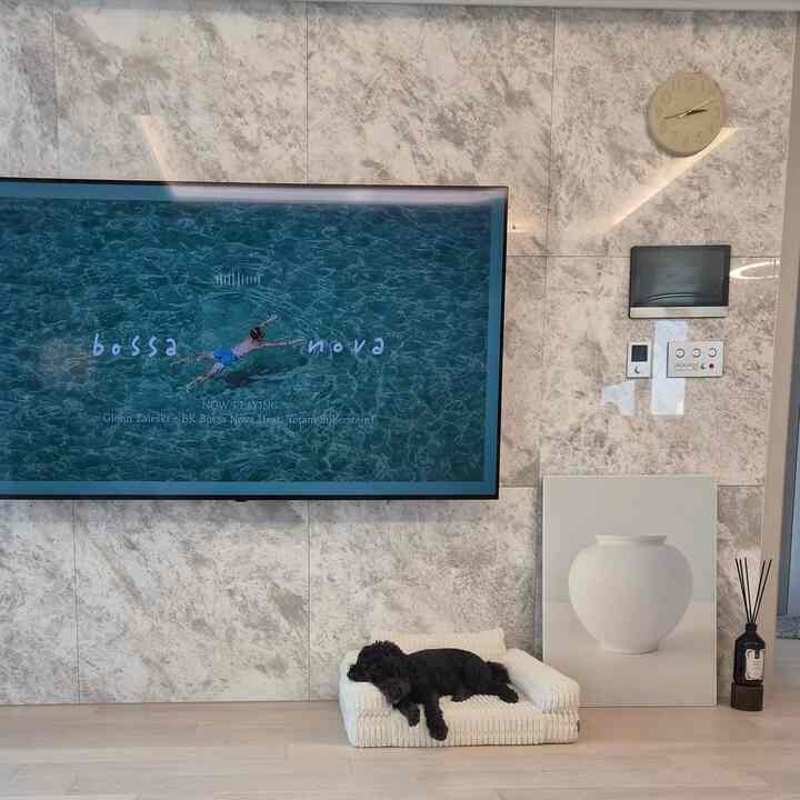 グレーの大理石の壁と白いペットソファ、テレビが配置されたモダンで落ち着いたリビング