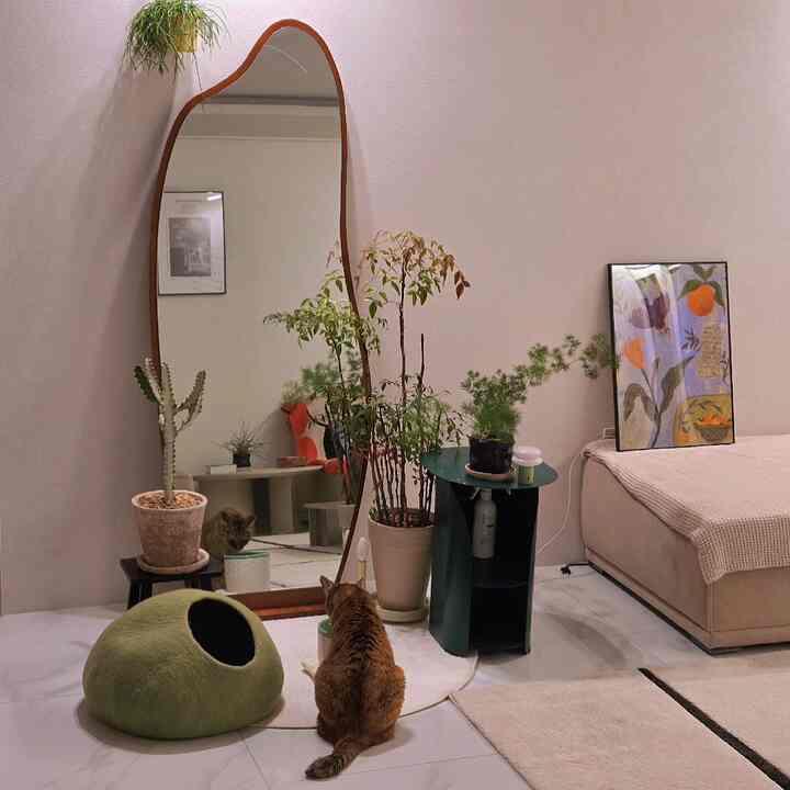 ベージュと白を基調としたリビング、猫と植物が配置された雰囲気のあるナチュラルモダンな空間