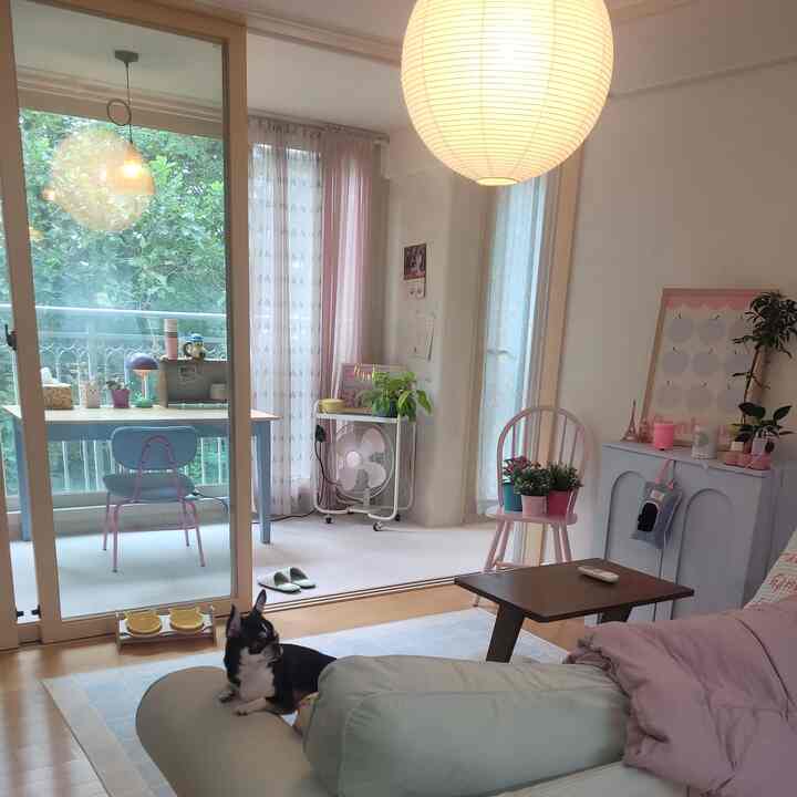 パステルカラーの北欧風リビングルームとホームオフィス空間、小さな犬がソファに座る、温かみのあるインテリア