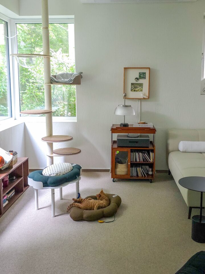 short form carousel card thumbnail