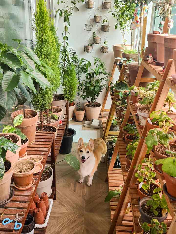 ムスンリーフォレストガーデン🏡🌳🌻
。
。
。
ムスンリーフォレストガーデン☺️
かわいいウェルシーは無純な森の庭に遊びに来ました🥰🐿
たわごとの若々しいイヤムです💕🐇🐥🌻
。
。
 ＃コンスープ記録集＃今日の私たちの家＃新婚＃キッチン＃植民地時代
＃新婚家の飾り
