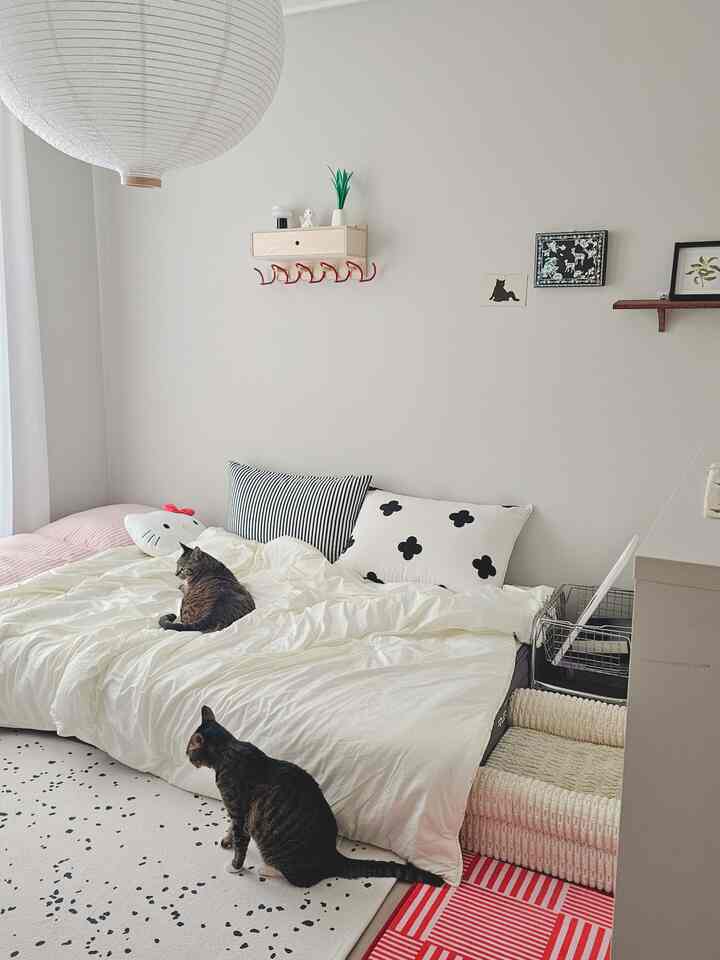 #같이사는집 Saya punya sofa untuk hewan peliharaan, tetapi akhir-akhir ini, kucing sering mengambil alih tempat tidur saya. 🐈‍⬛🐈‍⬛🤍

#KamarManisBayi #동양미한스푼 #동양인테리어 #아기자기인테리어 #고양이 #고양이가있는집 #방꾸미기 #내방꾸미기 #셀프인테리어 #집꾸미기 #작은방꾸미기 #침실인테리어 #벽꾸미기 #침구인테리어 #댄스온더플로어 #픽켄드 #맞팔 #홈스타일링 #홈인테리어 #집스타그램 #홈데코 #방데코 #소품인테리어 #감성소품 #컬러인테리어 #귀여운방 #감성인테리어 #예쁜방
