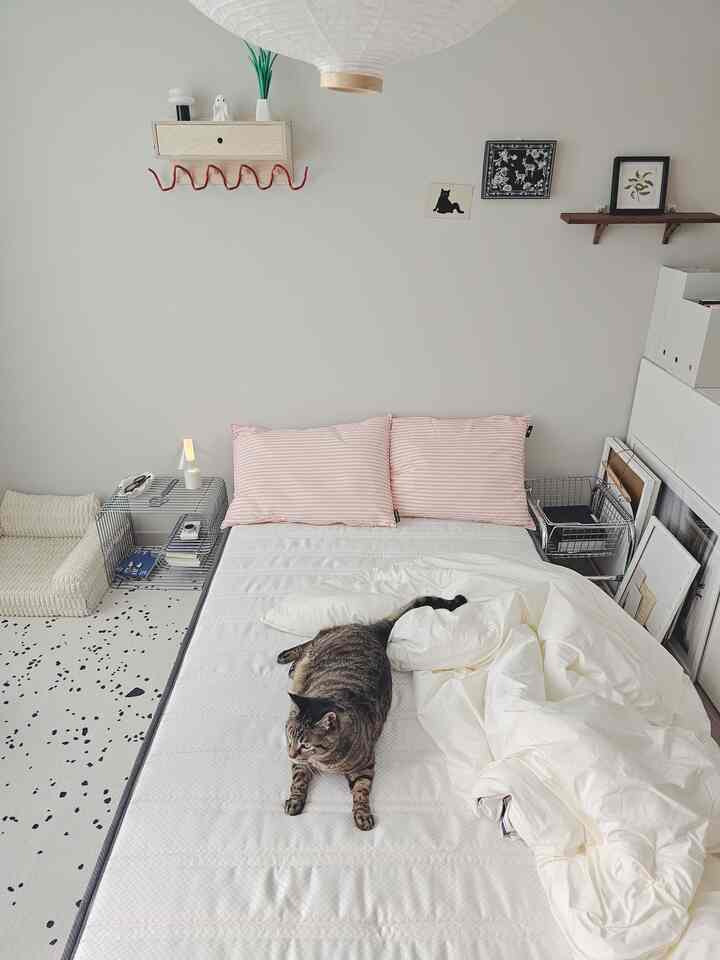 Natural toned bedroom featuring a white bed with pink pillows where a cat is resting, creating a peaceful atmosphere