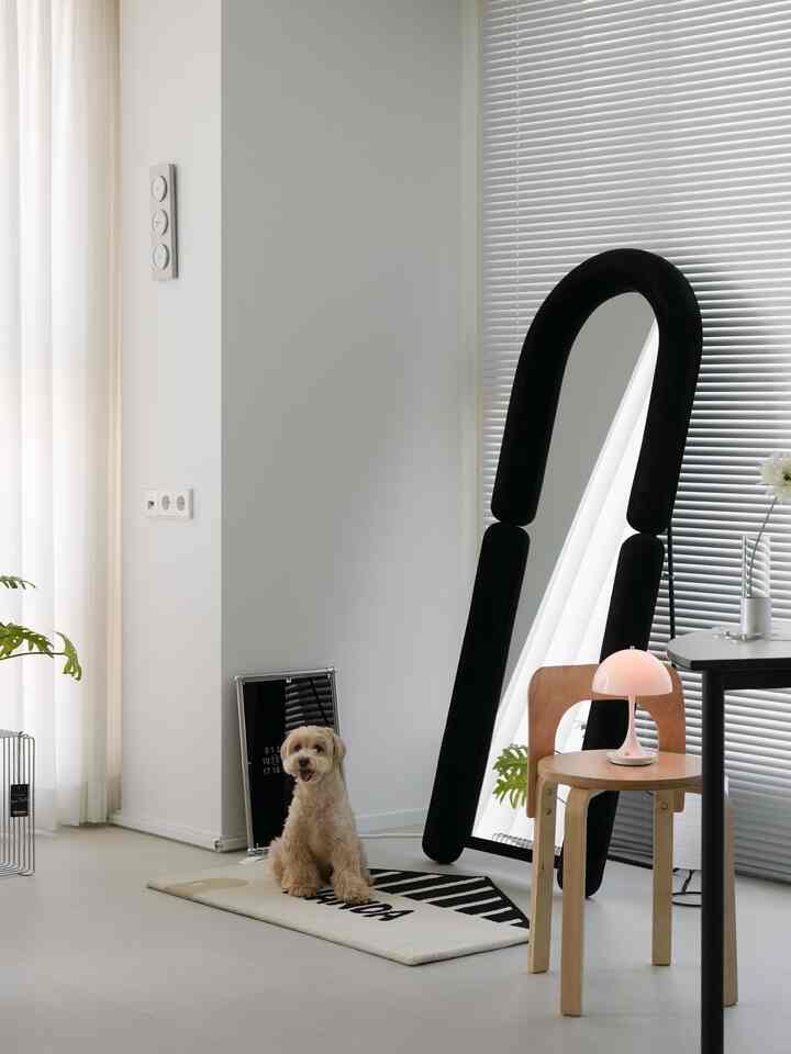 柔らかなナチュラルカラーのリビング、ミニラグの上に犬が座り、黒い全身鏡と木目調の椅子が配置されている雰囲気のあるインテリア