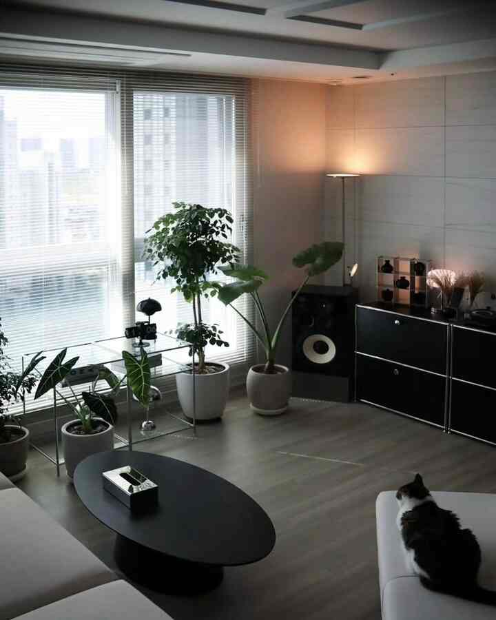 モノトーンでモダンなリビング、中央に黒のコーヒーテーブルと複数の観葉植物が配置された雰囲気のある空間