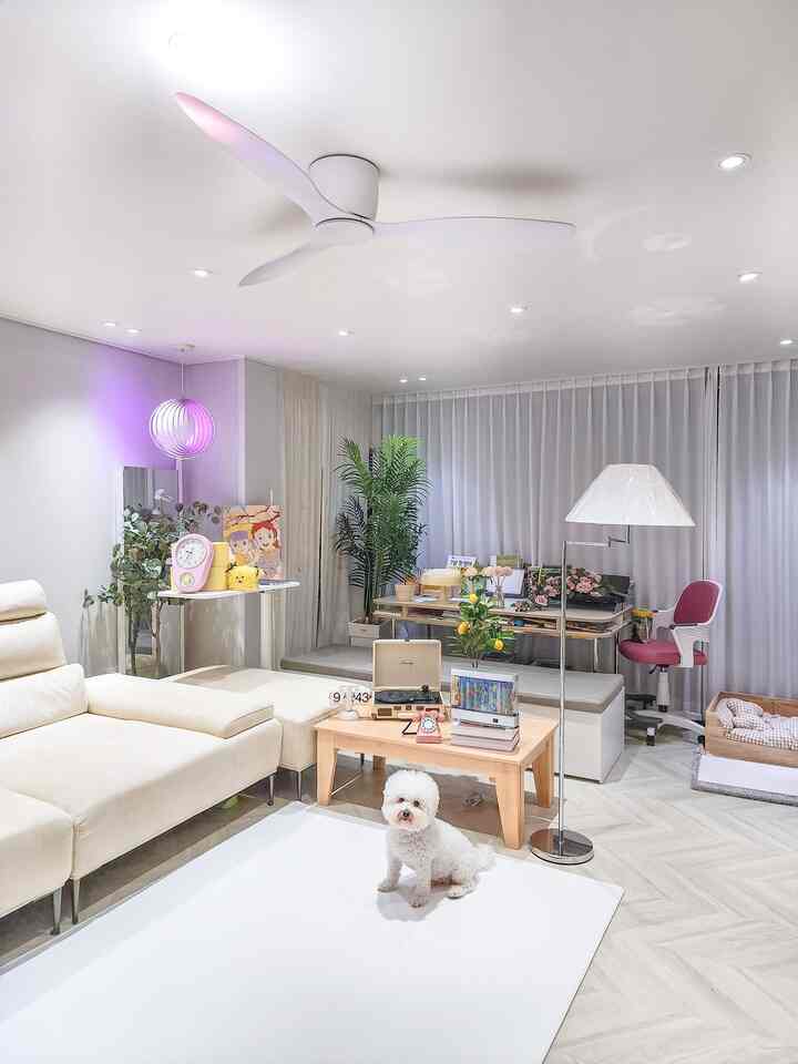 ホワイトトーンのリビング、アイボリーソファと木製テーブル、犬がいる居心地の良いモダンなインテリア