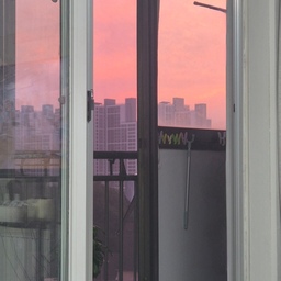 #가을담은우리집
🍂가을 특유의 붉은 노을을 담아보았어요 🌆 
#노을맛집 #노을뷰 #가을맞이 #가을애우리집 #가을무드 #뷰맛집 #뷰가좋은우리집 #뷰좋은집 #아파트베란다 #베란다인테리어 #베란다정원 #식집사성장기 #식집사일상 #식집사일기 #식집사필수템 #초보식집사 #초보식물집사 #초보식물 #키우기쉬운식물 #베란다꾸미기 #오늘장면한컷 #다이소추천템 #다이소템 #다이소꿀템 #플랜테리어 #플랜트인테리어 #플랜테리어소품 #맞팔 #소통