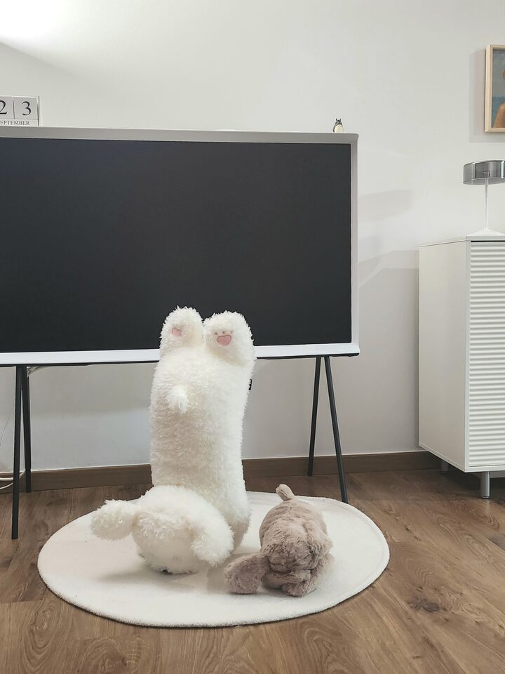 short form carousel card thumbnail