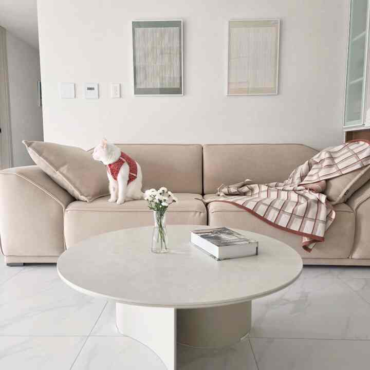 明るいホワイトとベージュのトーンのリビング、ソファ上の猫と丸いコーヒーテーブルが調和したシンプルでモダンなインテリア