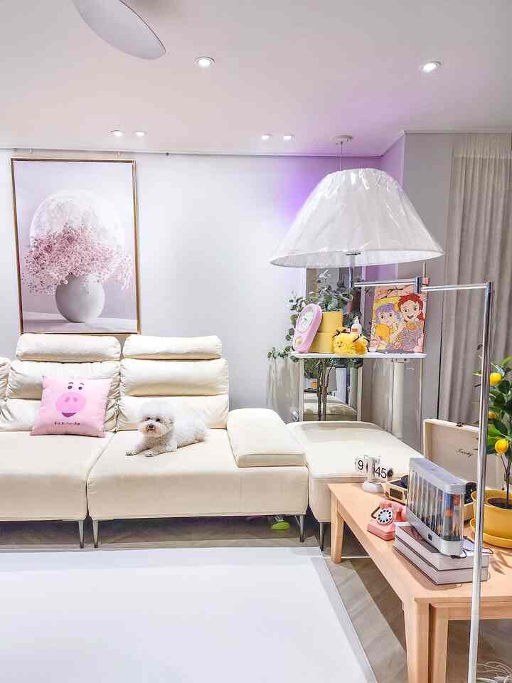 ホワイトウッドインテリアにモジュラーソファ30坪リビングルームを飾る照明おすすめのテム

済州島も考えて 
居心地の良いリビングルームで爆発しました。 

体と心の老化速度は本当に違っても、
体は今日が一番若いほど 
今を味わわなければなりません〜 

暖かいぬくもりが感じられるホワイトリビングルームで子供と子犬も一緒に楽しい時間を過ごします。 




いつも楽しい五感レビュー〜
オクラフト体験団とクラス五感レビューで
コミュニケーションをとる家を飾る^^


＃今日の私たちの家＃コンスープ記録集 
＃かわいいテム 
#サリムサル 
#ラブピッチゾーン
＃リビングインテリア＃リビング飾り＃リビングテーブル 
＃収納スペース＃クリーンハニーチップ 
＃アパートを飾る＃サリムノウハウ 
#日焼け #ホワイトウッドインテリア 
#30ピクルス 
＃日焼けします＃子育て日常 
#シェルフインテリア 
＃ミッドセンチュリーモダンインテリア＃子供部屋インテリアチップ 
＃メイド＃今日の庭 
＃子犬と一緒に暮らす家＃愛犬子 
＃並んでいます＃スペシャルクリエイター＃セルフ建設＃収納インテリア 


