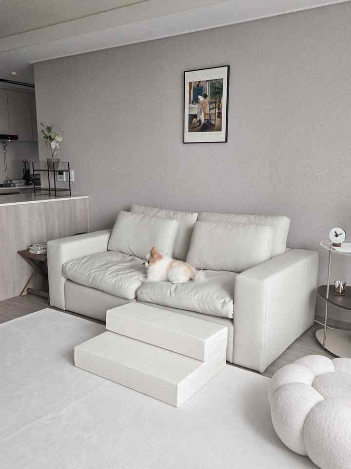 ナチュラルカラーのリビング、アイボリーのソファとペット用ステップ、小型犬が配置された落ち着いた雰囲気のインテリア