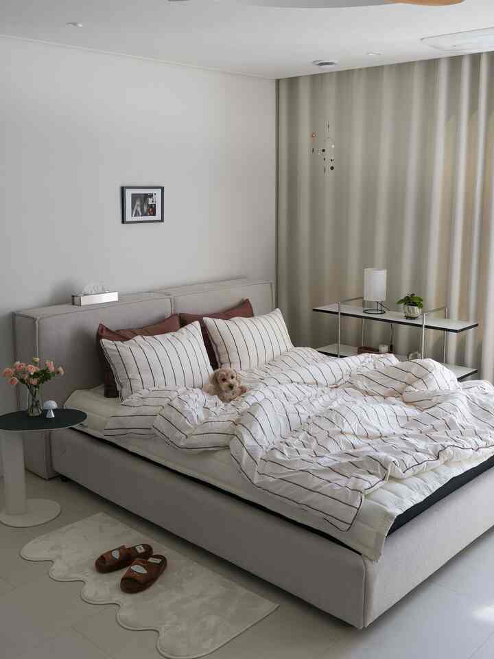 明るいベージュとアイボリーの寝室、ファブリックベッドと枕、小さな犬がいる落ち着いたシンプルなインテリア