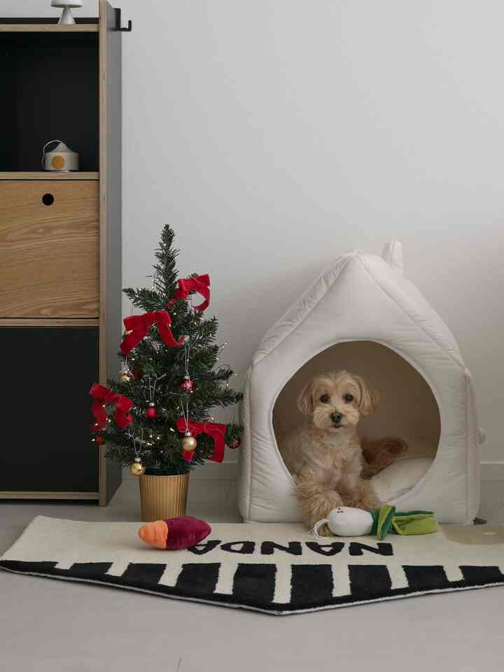 白と木目調の自然な雰囲気の空間、中央右に居心地の良いペットハウスと犬が配置された印象的なインテリア