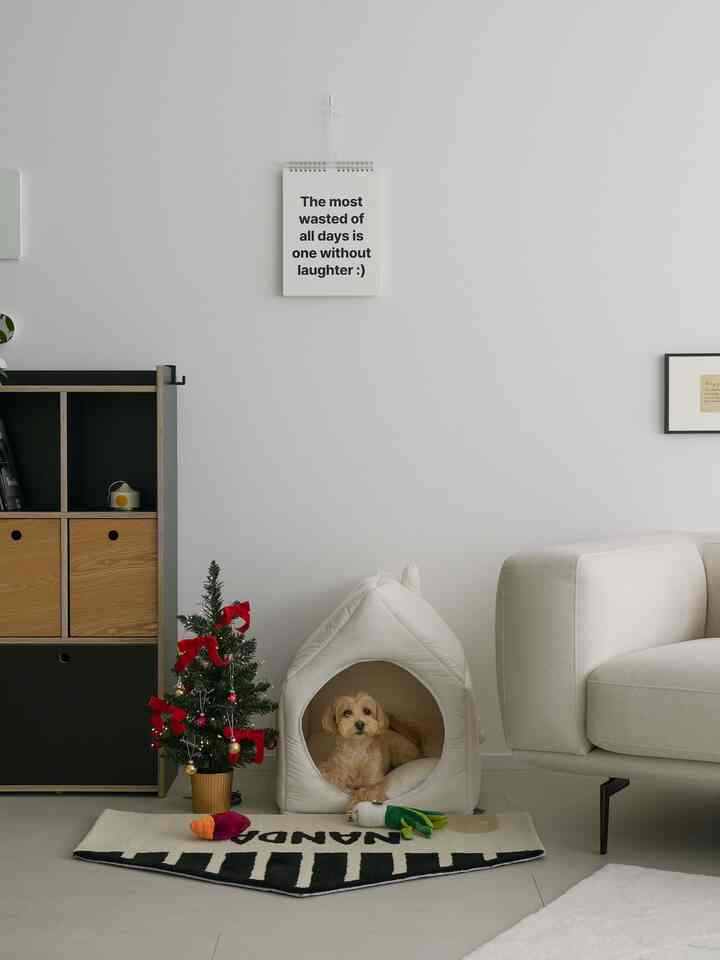 白い壁とナチュラルブラウンの家具が調和するリビング、ミニクリスマスツリーとペットハウスが温かみのある雰囲気を演出しているインテリア