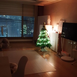 #콘수프기록집 #예쁜템최고야   2
🎄밤무드 크리스마스 트리에요🎄
밤에 트리 조명만 켜고 트리멍하면
마음이 참 고요하고 편안해져요♥️
#크리스마스 #크리스마스트리 #크리스마스소품 #크리스마스데코 #크리스마스장식 #크리스마스인테리어 #크리스마스준비 #크리스마스장면한컷 #트리 #트리꾸미기 #트리장식 #트리오너먼트 #트리멍 #트리추천 #밤무드 #밤 #밤에더빛나는집 #밤이예쁜집 #밤분위기 #맞팔 #맞팔환영 #맞팔해요 #맞팔선팔 