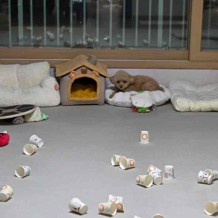 ベージュとホワイトの色調のリビングの犬用スペース、ペットハウスとクッション、滑り止めマットが配置された雰囲気のあるインテリア