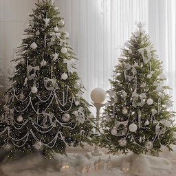 #콘수프기록집 #오늘의우리집 
저희집 투 트리를 소개해요🎄
180과 150트리인데 다른 브랜드이지만
수형이나 잎색이 크게 다르지않아서
같이 놔도 예뿌더라구요✨️
지금은 화이트버전으로 꾸며놨는데
조만간 싹 레드로 바꿔줄까 생각중이에요❤️
트리아래 작은 마을도 만들어줬더니
너무 아늑하고 포근하고 귀여워요🥹
#크리스마스 #크리스마스꾸미기 #크리스마스소품 #크리스마스데코 #크리스마스장식 #크리스마스인테리어 #크리스마스트리 #대형트리 #180트리 #150트리 #pe100트리 #pe트리 #윈터스케치트리 #아티파티 #화이트트리 #트리오너먼트 #오너먼트추천 #리본오너먼트 #리본트리 #리본장식 #트리스커트 #퍼러그 #화이트인테리어 #맞팔