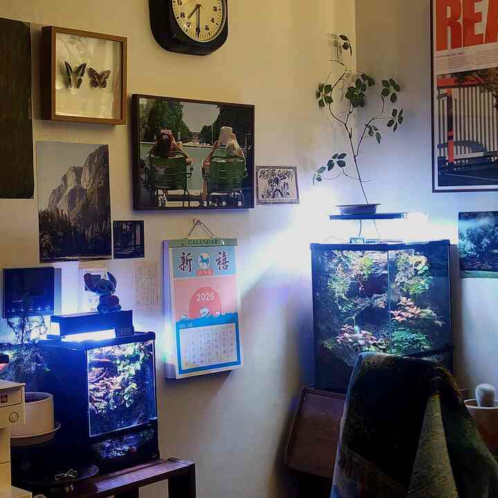 明るい青い照明が灯るワンルーム、壁にポスターと植物が配置された雰囲気のあるインテリア