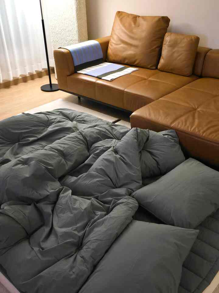 茶色のレザーソファとグレーのベッドカバーが配置されたナチュラルな雰囲気のリビング