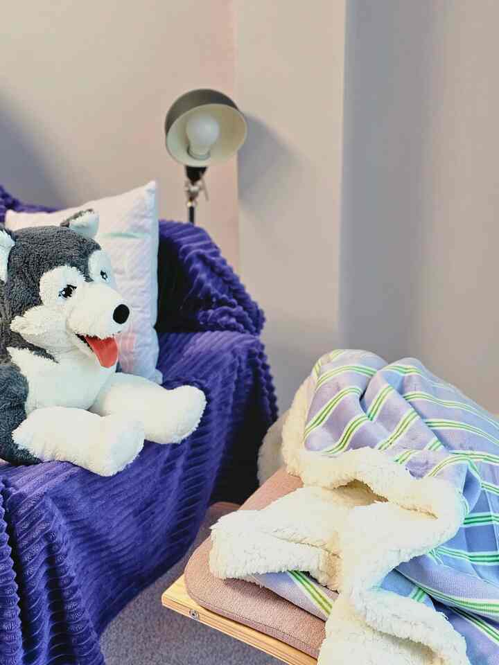パープルのカバーがかかったソファとハスキー犬のぬいぐるみ、ストライプのブランケットが置かれた雰囲気のあるインテリア
