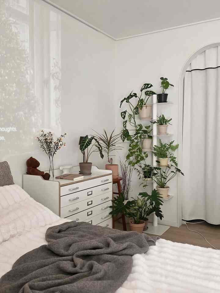 ベランダで育てた植物を先送りして
今はとても寒くなってしまいました。

とても置く空間がないと思ったが、空間は作ればできるの…！

寝室収納場とヘッドを整理してからスペースができて 
より多くの植物を置くことができるように北棚を置き、内側にもスツールを置いて 
空間占有はあまりしないで多くの植物を配置してくれました。

最初は心配したけどこんなに飾ってくれたら寝室ができてたらしいですよ🌿

＃寝室＃寝室インテリア＃クイーンベッド＃マットレスカバー＃冬寝具＃寝具おすすめ＃ブランケット＃紙幣＃寝室収納＃プランテリア＃調和＃花瓶＃植執事＃植民地日記＃屋内植物＃北棚＃植物棚＃