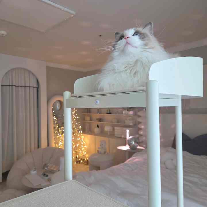 ベージュとホワイトの色調の寝室、椅子の上に座る猫が温かく居心地の良い雰囲気を演出している