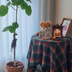 #공간별살림템
거실 휑한 구석을 나름 포토존으로 꾸며봤어요.🎄
미니 트리라도 들여 놔야 할까봐요~😂

#미니멀라이프 #포토존꾸미기 #크리스마스스노우볼
#크리스마스소품 #오늘의우리집 #크리스마스준비 
#맞팔 #맞팔환영 