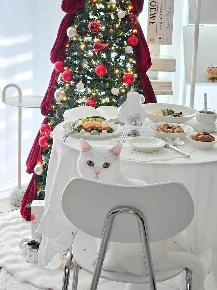 白を基調としたリビング、クリスマスツリーと食卓、椅子、そして白い猫が配置された雰囲気のある空間