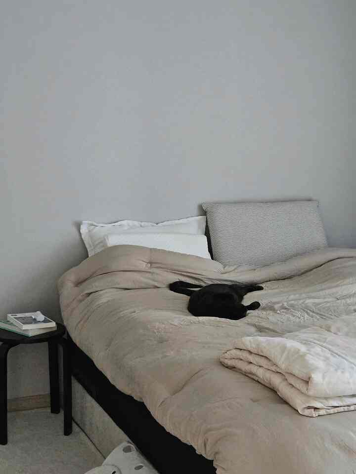 ベージュの色調が特徴の寝室、中央にベッドと枕が配置され、ダウンの上で黒い猫が眠るシンプルで落ち着いた空間