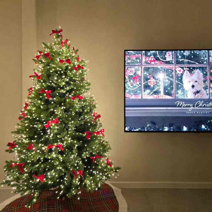 メリークリスマス🎄🎄
みんな幸せな一日になればいいなぁ🎅🤶
暖かい年末を過ごしてさらに幸せな26年になります。

#merrychristmas #크리스마스 #메리크리스마스 
