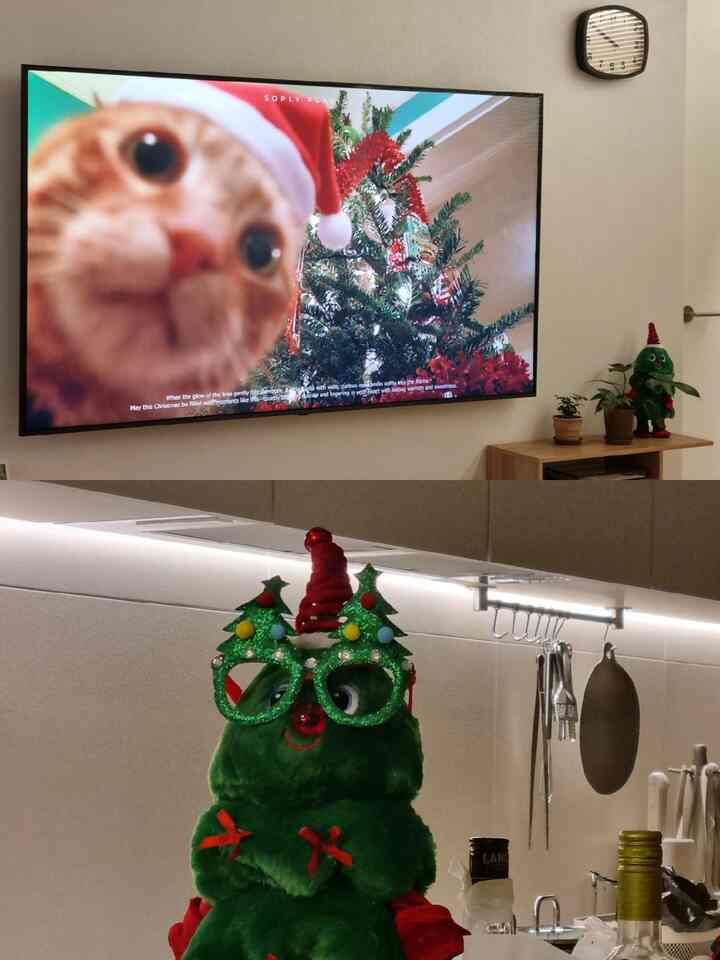 みんな幸せなクリスマスの休暇を過ごしましたか？ ˙ᵕ˙
私は愛する家族の友達と一緒に小さなホームパーティーをしています。
幸せな時間を過ごしました🎄🫶🏻🏠
年が経つのは残念ながら、今後の新年について
ときめきがいっぱいだと思います！ ˙ᵕ˙

時間をかけて私の記事を読んでくださる皆さんに、
もう少し残っていない25年度の一日一日の重要な日になることを願っています -  #크리스마스 #Goodbye2025  #맞팔해요 