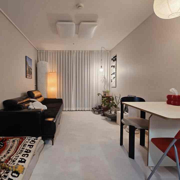 #행복주택인테리어
Hello🤍

Following the plant zone I completed last time, furniture has arrived for the living room. 📦
It was hard work unpacking, organizing, and cleaning, but isn't decorating fun for taking pictures and looking at them?
I can't change much because I live in a Happy House, but I'm diligently decorating with furniture and accessories.

I'll quickly organize, change, and post them one by one!

#HappyHouse #행복주택44형 #신혼집인테리어 #신혼집꾸미기 #좁은집인테리어 #좁은거실 #집꾸미기 #맞팔환영 #팔로우 #맞팔 #맞팔해요